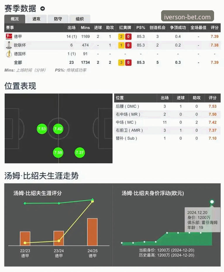 艾弗森体育赛事数据下载深度评测：从数据获取到竞猜策略的全面解析